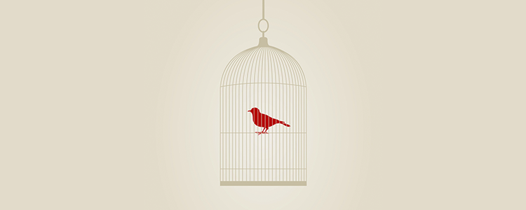 短信轰在线网页版入口